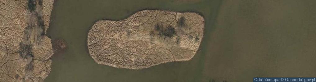 Zdjęcie satelitarne staw Kępiec