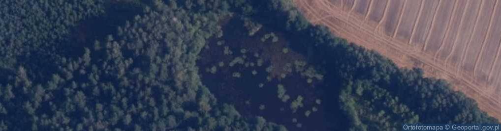 Zdjęcie satelitarne staw Kidy