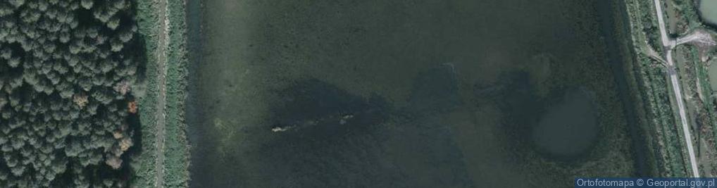 Zdjęcie satelitarne staw Kiszczak