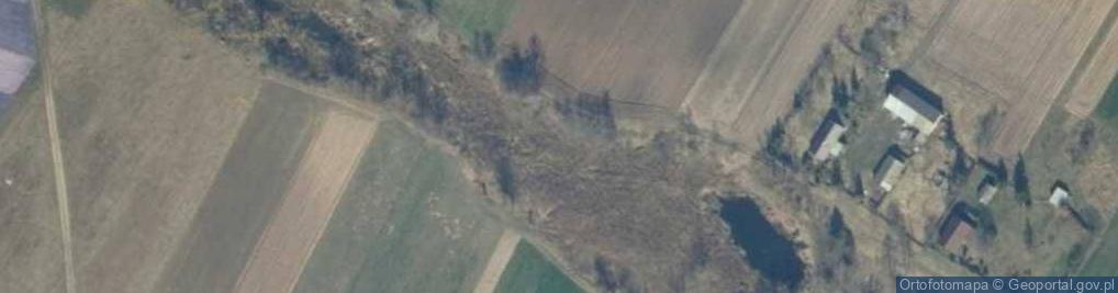 Zdjęcie satelitarne staw Konotopa