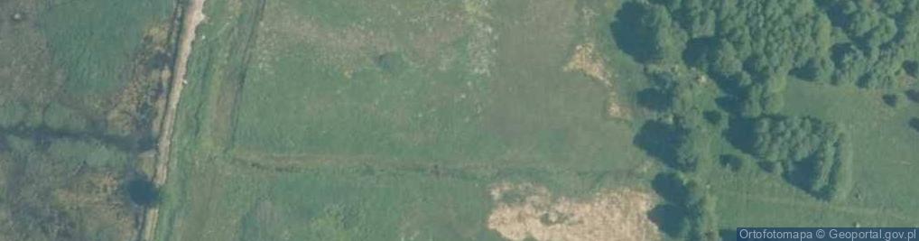 Zdjęcie satelitarne Staw Krztyni