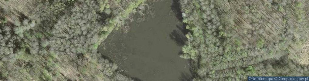 Zdjęcie satelitarne staw Leśny