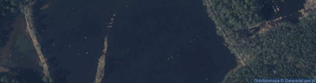 Zdjęcie satelitarne staw Łężki
