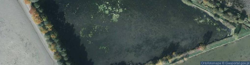 Zdjęcie satelitarne Staw Lipowy