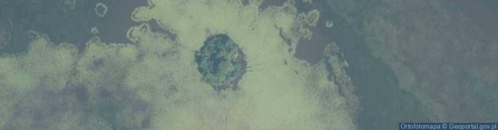 Zdjęcie satelitarne staw Marynin Górny