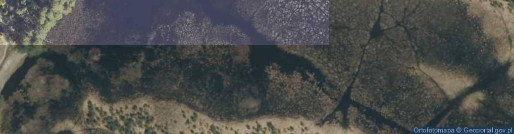 Zdjęcie satelitarne staw Mikuliny
