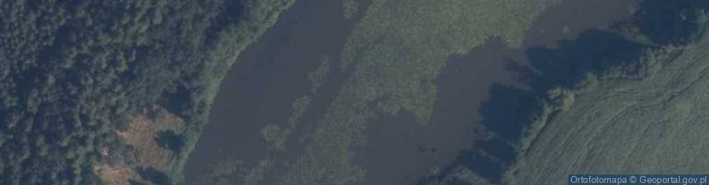 Zdjęcie satelitarne staw Młyński