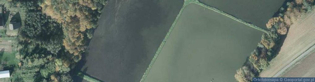 Zdjęcie satelitarne staw Młyński