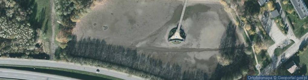 Zdjęcie satelitarne Staw Morcinkowy