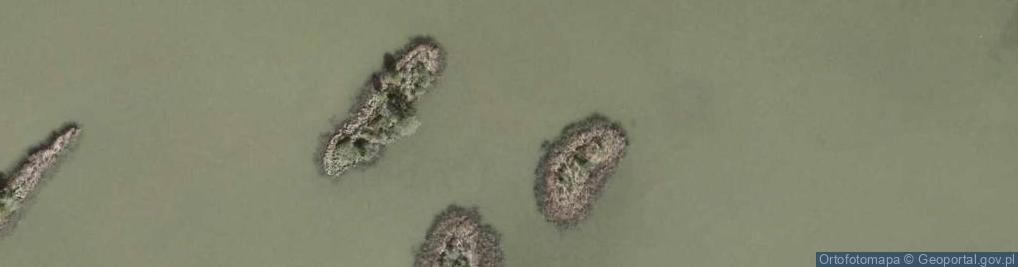 Zdjęcie satelitarne staw Niezgodny