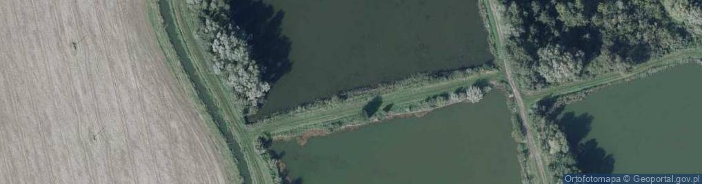 Zdjęcie satelitarne staw Nowe Wycierówki