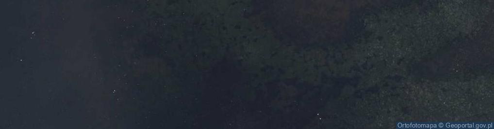 Zdjęcie satelitarne staw Nowy Śląski