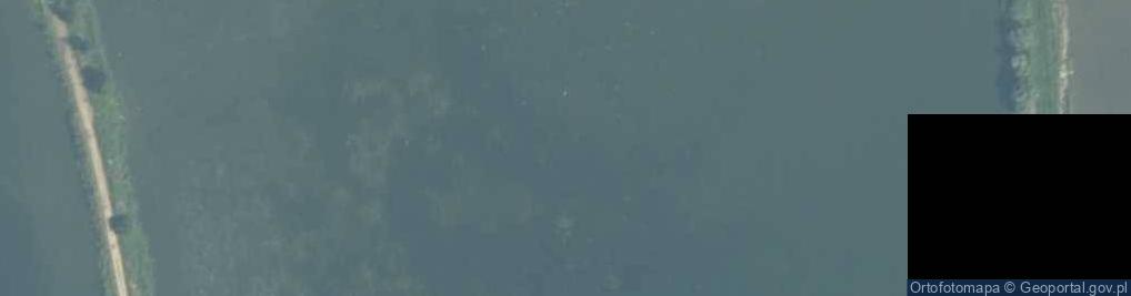 Zdjęcie satelitarne Staw Nowy Szydłowiec