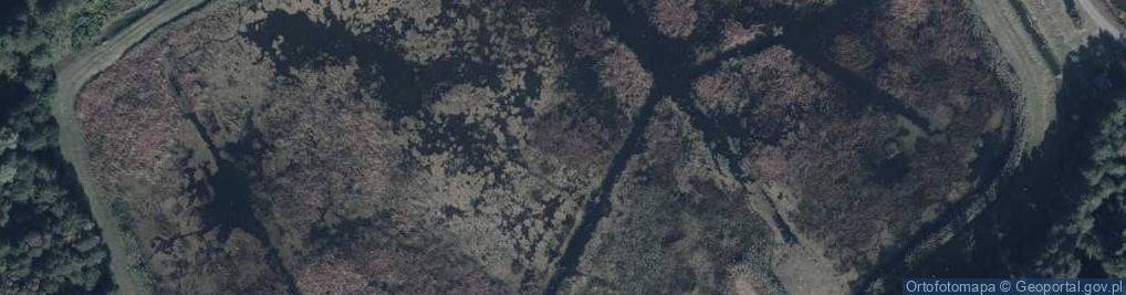 Zdjęcie satelitarne staw Nowy