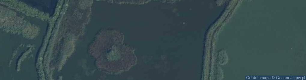 Zdjęcie satelitarne staw Ogród