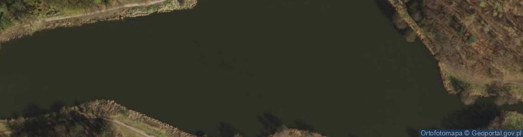 Zdjęcie satelitarne staw Olszak