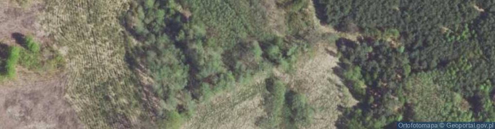 Zdjęcie satelitarne staw Olszyna