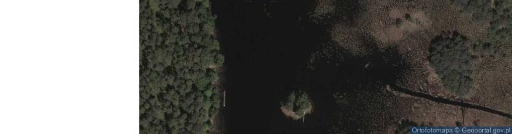 Zdjęcie satelitarne Staw Ordynacki Pierwszy