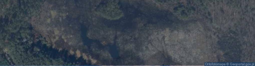 Zdjęcie satelitarne staw Patkowski Kanał
