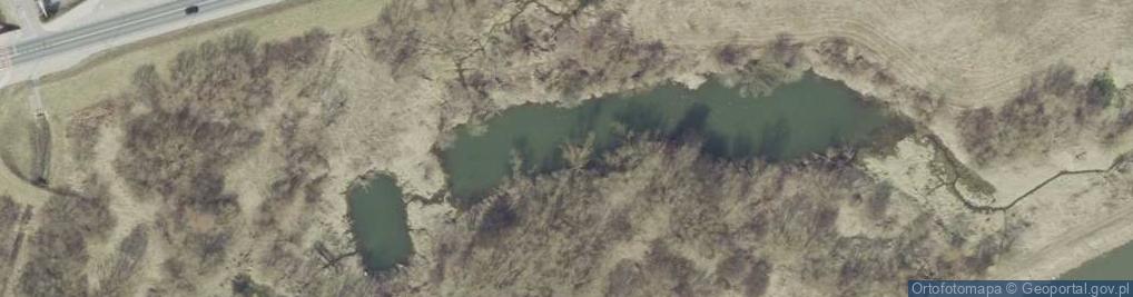 Zdjęcie satelitarne Staw Pilecki