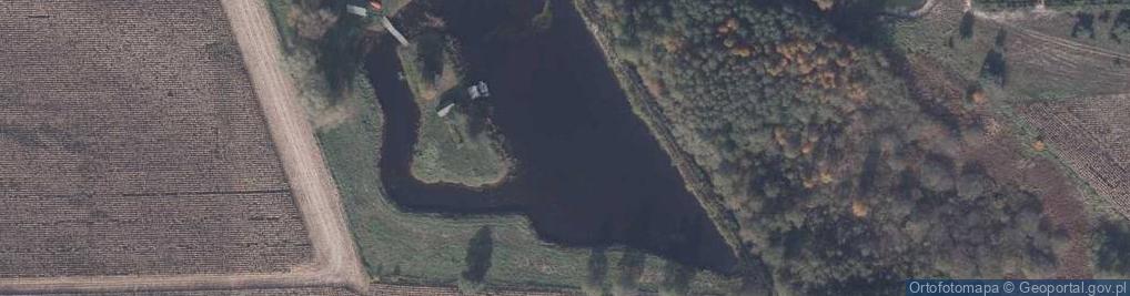 Zdjęcie satelitarne Staw Płuty