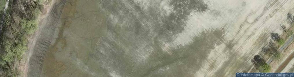 Zdjęcie satelitarne staw Płytki