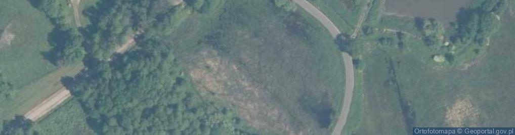 Zdjęcie satelitarne staw Pośredni