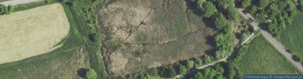 Zdjęcie satelitarne staw Pustkowie