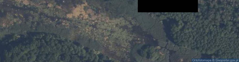 Zdjęcie satelitarne staw Rogal