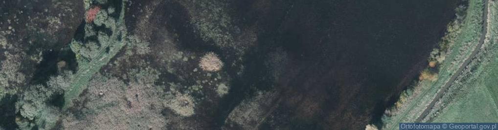 Zdjęcie satelitarne Staw Rysin