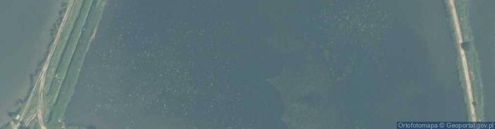 Zdjęcie satelitarne Staw Sitowiec
