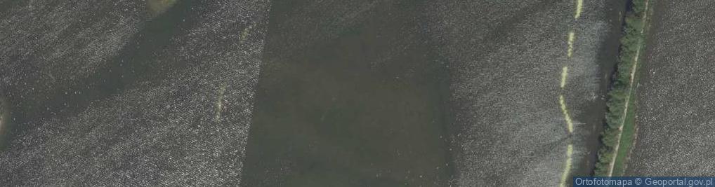 Zdjęcie satelitarne staw Skowronówka