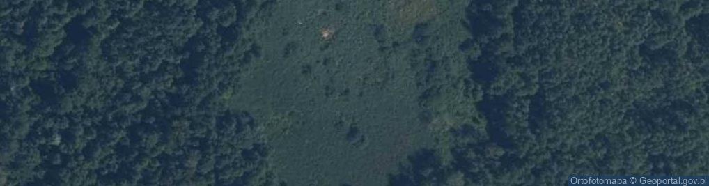 Zdjęcie satelitarne staw Smugi