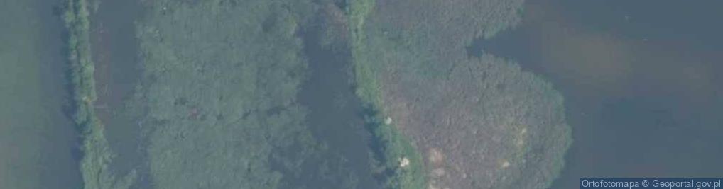 Zdjęcie satelitarne staw Smutny