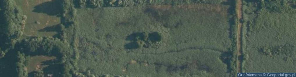 Zdjęcie satelitarne Staw Spółdzielczy