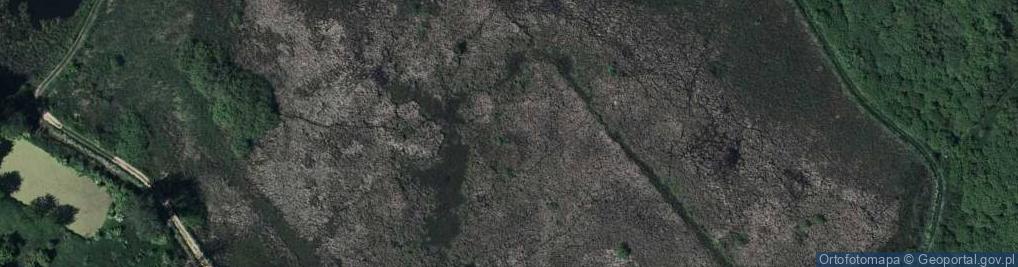 Zdjęcie satelitarne staw Tomasin
