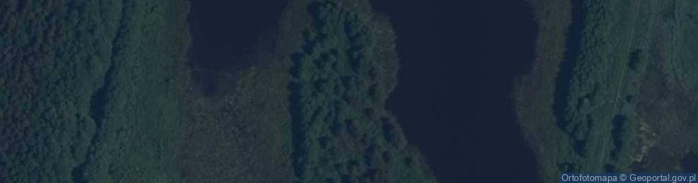 Zdjęcie satelitarne staw Wielki Dolny
