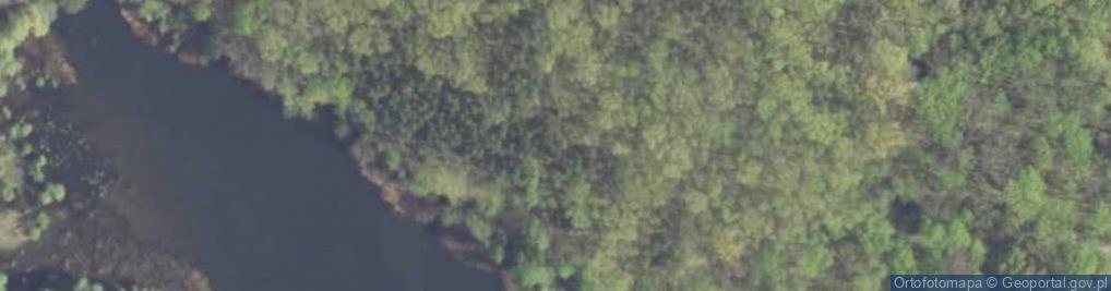 Zdjęcie satelitarne staw Wiktorówka