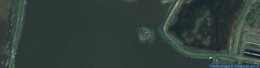 Zdjęcie satelitarne staw Wilczy Dół