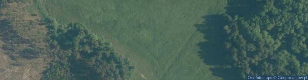 Zdjęcie satelitarne staw Wodyniec