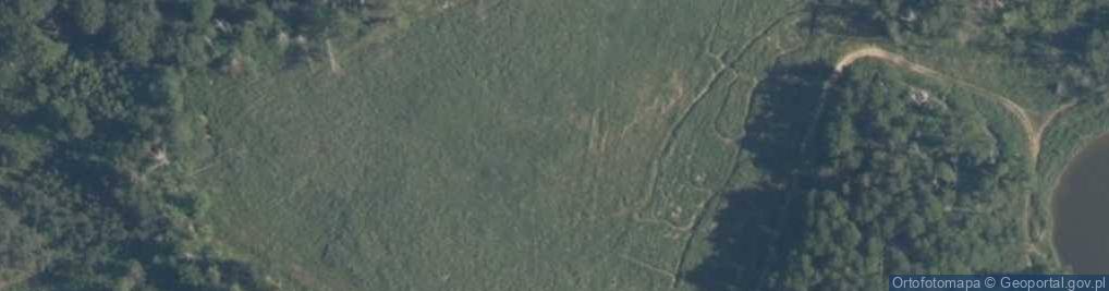 Zdjęcie satelitarne staw Wojenny