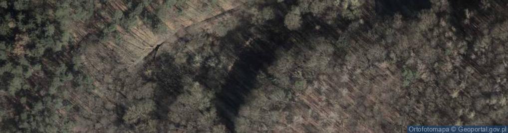 Zdjęcie satelitarne staw Wyszna