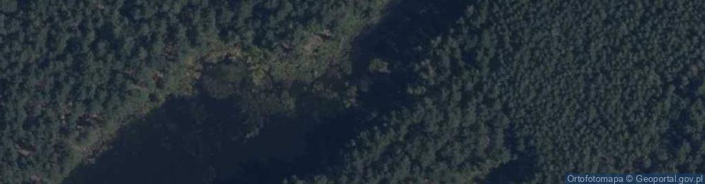 Zdjęcie satelitarne staw Zapadliska