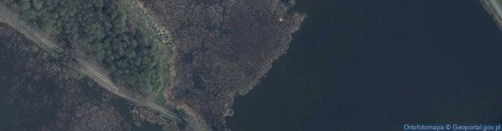 Zdjęcie satelitarne staw Zbiornik