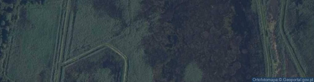 Zdjęcie satelitarne staw Zimochów