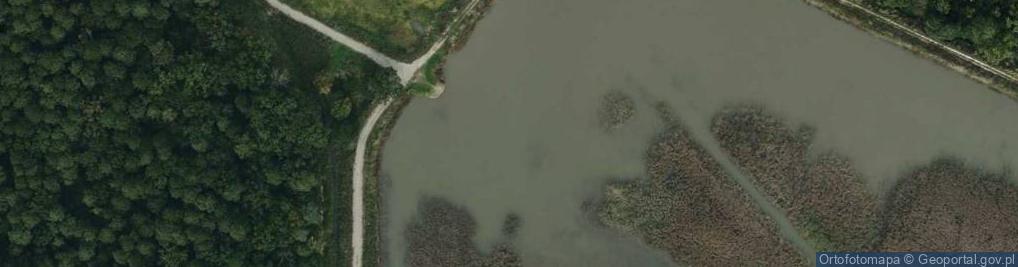 Zdjęcie satelitarne Stawy Babulskie