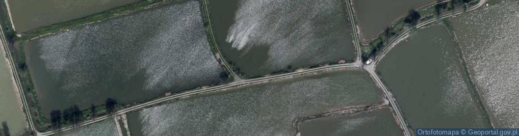 Zdjęcie satelitarne Stawy Bestwińskie