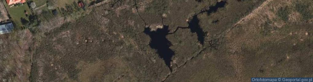 Zdjęcie satelitarne Stawy Białe Błota