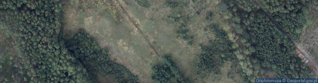 Zdjęcie satelitarne Stawy Bobrowieckie