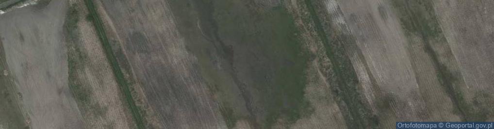 Zdjęcie satelitarne Stawy Glinianki